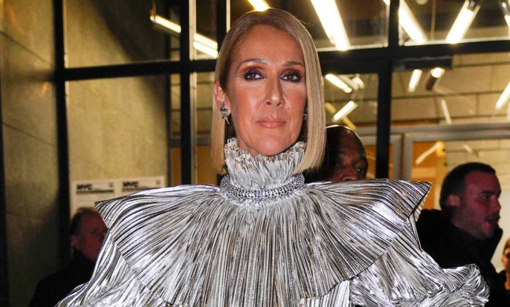 Celine Dion Stuns In Cropped Top And Mini Skirt For Celebratory ...